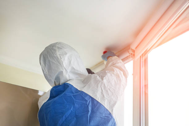 Professional Mold Removal Services in Church Hill, MD